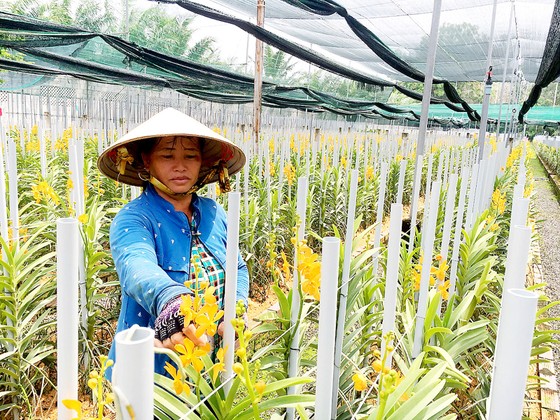 Khẳng định vai trò Hội Nông dân ảnh 1