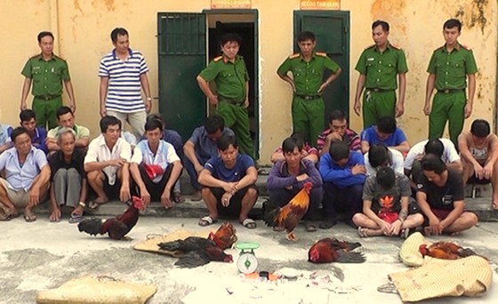 Phó Bí thư Tỉnh ủy An Giang lên tiếng về thông tin con trai đánh bạc ảnh 1