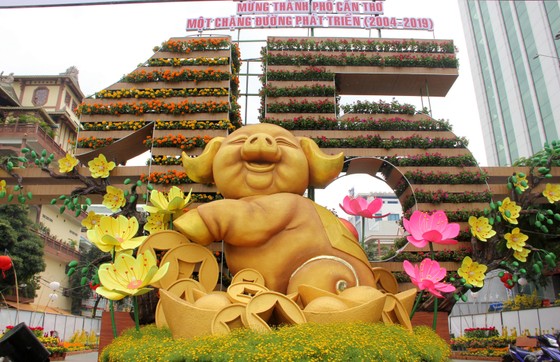 Đường hoa Cần Thơ rực rỡ trước giờ mở cửa ảnh 1