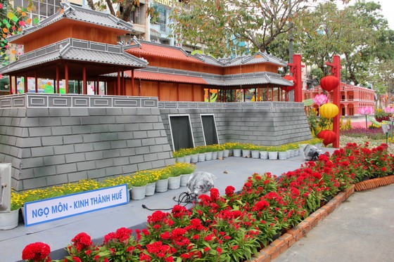 Đường hoa Cần Thơ rực rỡ trước giờ mở cửa ảnh 6