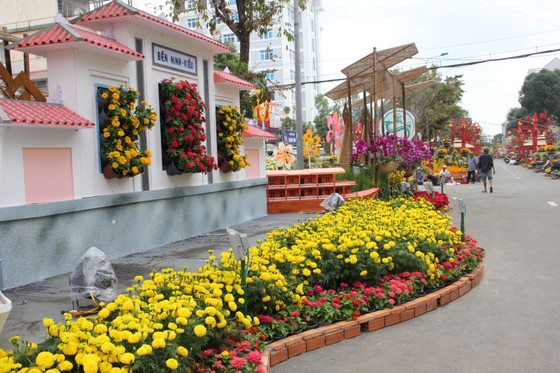 Đường hoa Cần Thơ rực rỡ trước giờ mở cửa ảnh 8