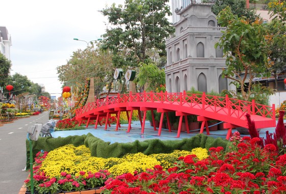 Đường hoa Cần Thơ rực rỡ trước giờ mở cửa ảnh 7