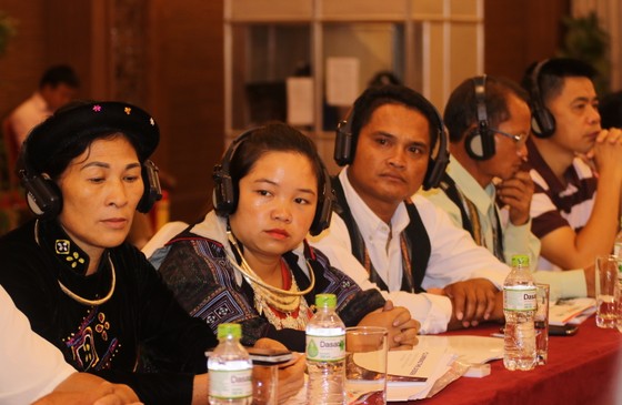Sâm Ngọc Linh - cây “thoát nghèo” của đồng bào dân tộc thiểu số ảnh 2