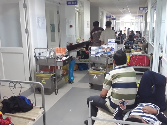 Ngành giáo dục Đà Nẵng “tổng tuyên truyền” phòng chống dịch sốt xuất huyết ảnh 1