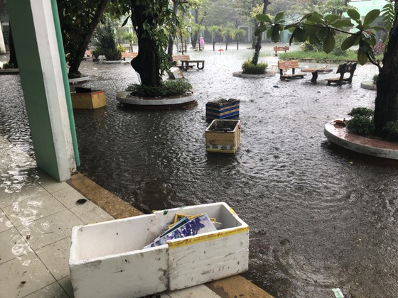 Mưa ngập bất thình lình, ngày mai 10-12, học sinh - sinh viên trên toàn thành phố Đà Nẵng được nghỉ học ảnh 1