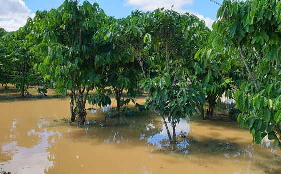 Nước lũ gây ngập nặng ở TP Bảo Lộc ảnh 4