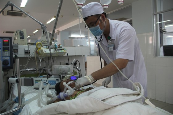 Cụ ông 63 tuổi bị ong đốt liệt não ảnh 1
