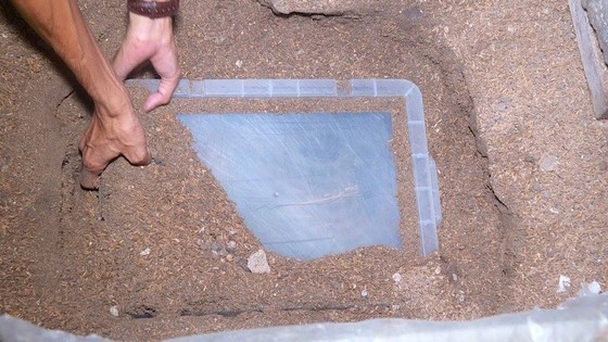 Chân dung 2 kẻ cướp ngân hàng tại Khánh Hòa ảnh 3