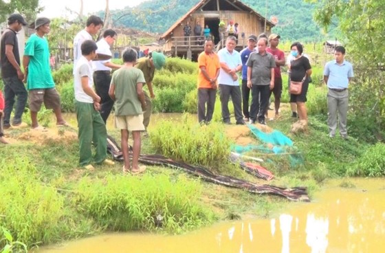 Tắm hố sâu, 4 trẻ trong một gia đình tử vong ảnh 1