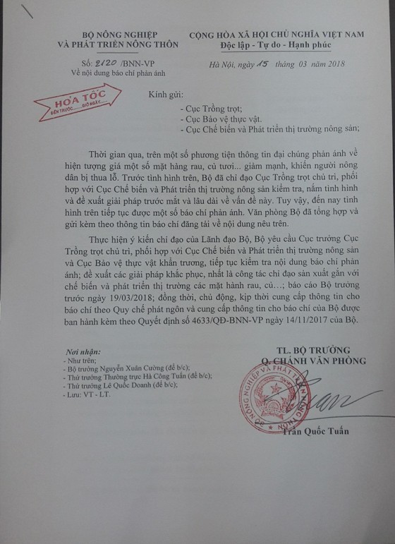 Rau củ thu hoạch đổ bỏ đầy đồng, Bộ NN-PTNT yêu cầu kiểm tra ảnh 4