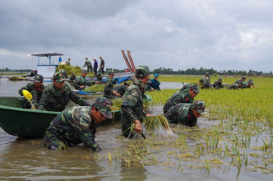 Đồng bằng Sông Cửu Long sắp có lũ ảnh 1