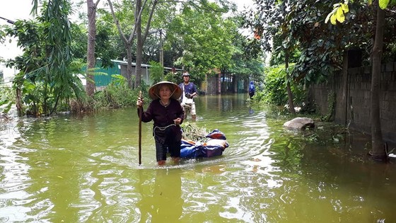 Hà Nội xuất hiện “con đường trên biển nước” ảnh 10