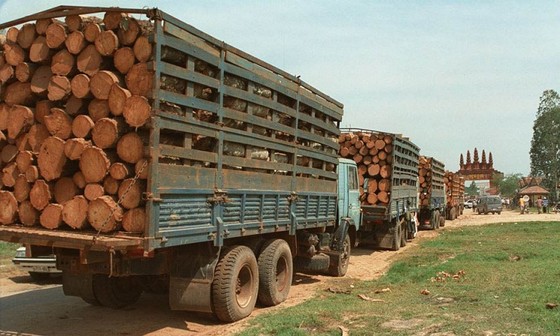 Đồ gỗ xuất siêu 3,52 tỷ USD ảnh 2
