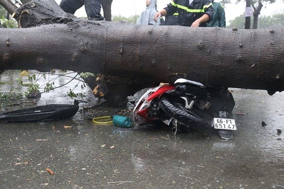 51 nhà sập, 46 thuyền và 99 lồng bè chìm do bão số 9 ảnh 2