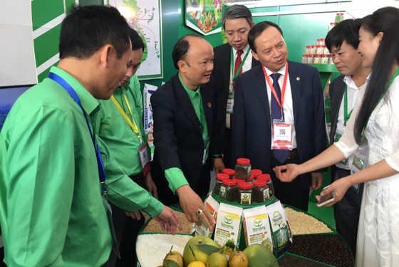 Thủ tướng Nguyễn Xuân Phúc chủ trì hội nghị tổng kết 10 năm “tam nông” ảnh 2