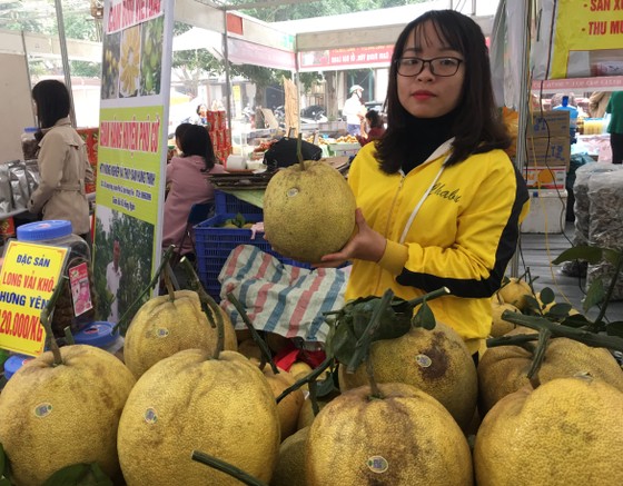 Trăm loại đặc sản “khoe hương” tại hội chợ xuân 2019 ảnh 2