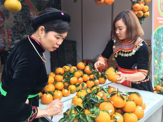 Trăm loại đặc sản “khoe hương” tại hội chợ xuân 2019 ảnh 5