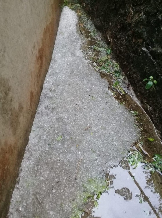 Người dân Mộc Châu 'rụng rời' sau trận mưa đá ảnh 2