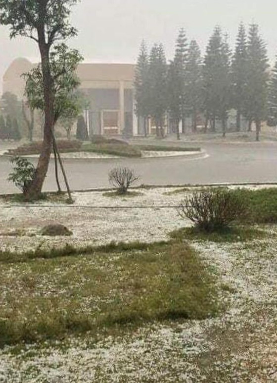 Người dân Mộc Châu 'rụng rời' sau trận mưa đá ảnh 3