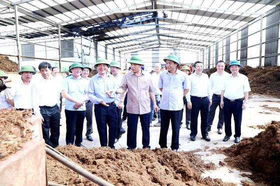 “Thất bại” với dịch tả heo, Bộ NN-PTNT muốn tỉnh Thái Bình học tập tỉnh Hòa Bình ảnh 2