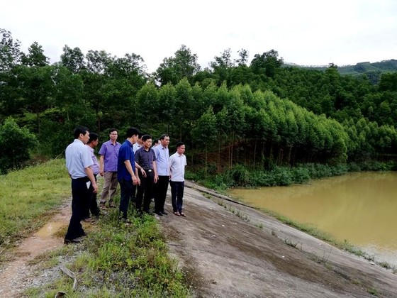 19 người chết và mất tích, khẩn cấp cứu đê biển Cà Mau ảnh 3