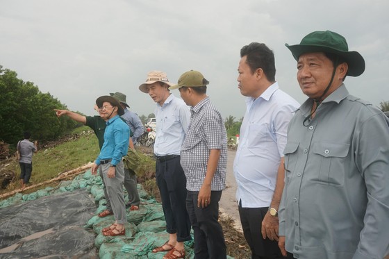 Đánh chìm sà lan, xếp 10.000 bao tải cát cứu đê biển ảnh 1
