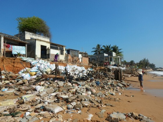 Người dân Phan Thiết căng mình cứu nhà sắp bị biển “nuốt chửng” ảnh 1
