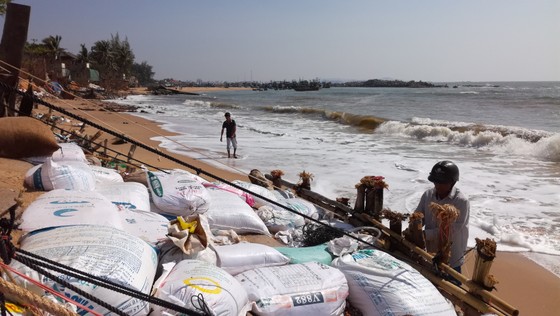 Cần hỗ trợ khẩn cấp cho người dân vùng bị biển xâm thực ảnh 3