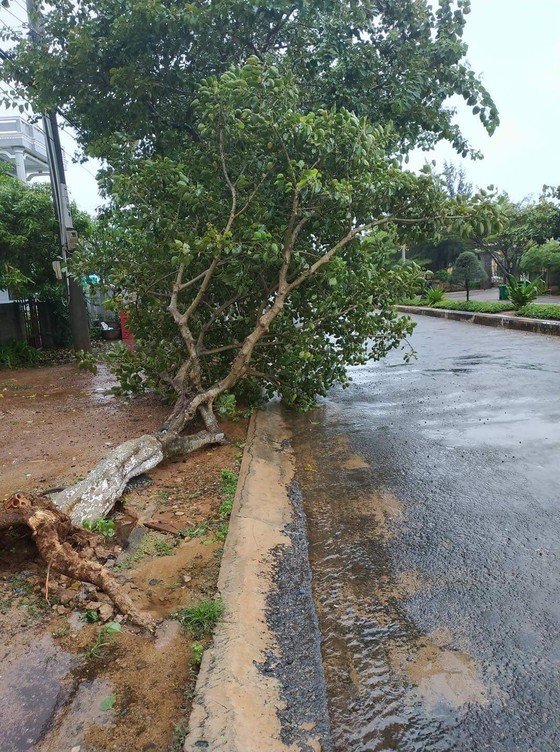 Đảo Phú Quý mưa lớn, nhà nghỉ, khách sạn mở cửa miễn phí cho người dân trú bão ảnh 3