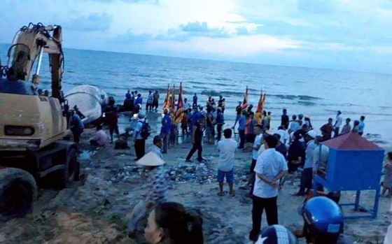 Chưa thể đưa cá ông khổng lồ "lụy" trên biển đi mai táng ảnh 3