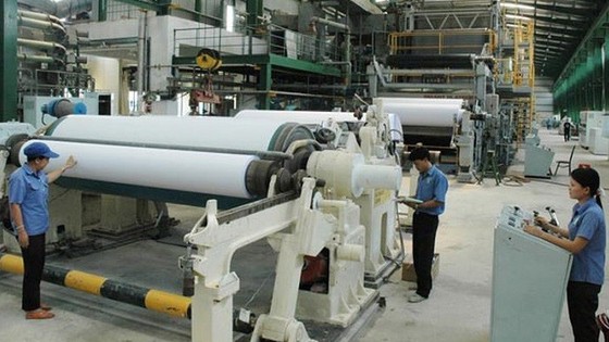 Tập đoàn Tân Mai đầu tư nhà máy mới và phát triển vùng nguyên liệu ảnh 1