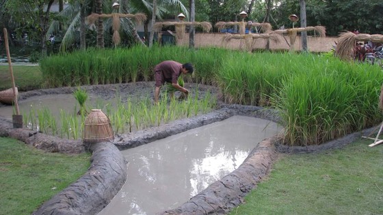 Lễ hội văn hóa và ẩm thực “HẠT LÚA QUÊ TÔI” ảnh 4