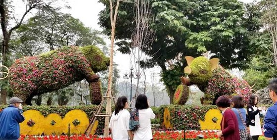 30 Tết, Hà Nội yên bình ảnh 7