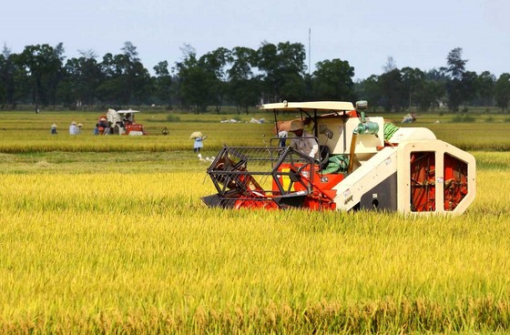 Hồi sinh từ tro tàn ở tuyến lửa Quảng Trị ảnh 5