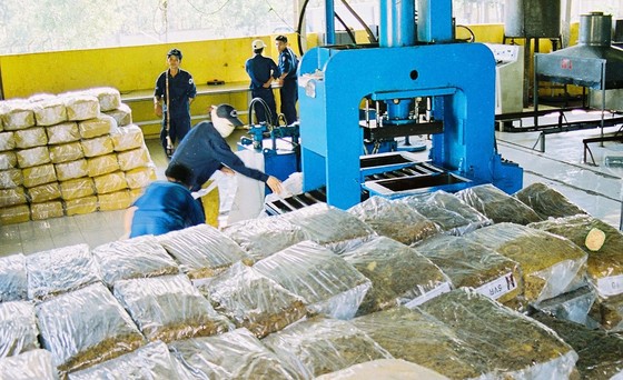 Hồi sinh từ tro tàn ở tuyến lửa Quảng Trị ảnh 7