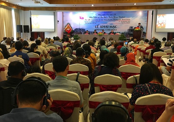 Tại sao kết quả khai quật khảo cổ học tại Việt Nam gây chấn động thế giới? ảnh 1