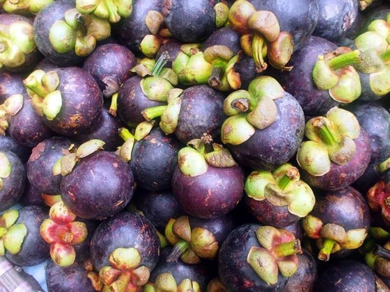 Xử lý người phụ nữ bán cho du khách 1,7kg măng cụt giá 1 triệu đồng ảnh 2