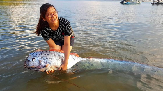 Cá mái chèo dài 3m bơi vào bờ biển Hà Tĩnh ảnh 2