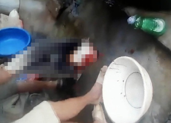 Xác định 5 người liên quan trong video clip giết cá thể nghi khỉ, ăn óc sống ở Hà Tĩnh ảnh 2