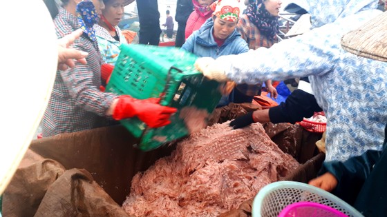 Người dân miền Trung phấn khởi được mùa cam và "lộc biển" ảnh 4