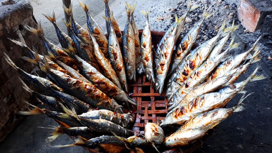 Người dân miền Trung phấn khởi được mùa cam và "lộc biển" ảnh 6