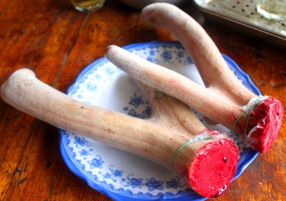 Người dân miền Trung phấn khởi được mùa cam và "lộc biển" ảnh 11