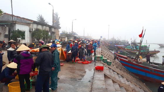 Người dân miền Trung phấn khởi được mùa cam và "lộc biển" ảnh 1