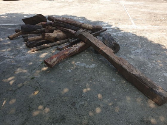 Phát hiện vụ vận chuyển động vật hoang dã và gỗ trắc trái phép ảnh 5