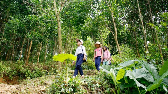 Biệt lập giữa đại ngàn ảnh 1