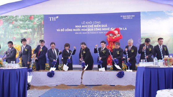 Có gì đặc biệt ở nhà máy đầu tiên của Việt Nam ép cam, nhãn? ảnh 1