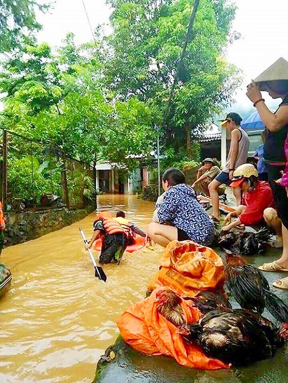 Những người lính cứu nạn cứu hộ trong lũ dữ ảnh 3