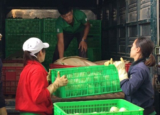 Những trang trại rau sạch ảnh 5