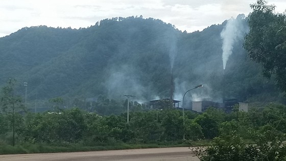 Sống chung với rác ảnh 1