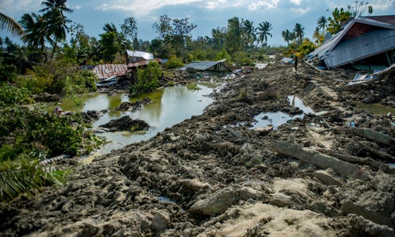 Số người thiệt mạng trong thảm họa kép tại Indonesia đã lên đến 1.944 người ảnh 14